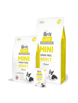 BRIT-CARE-MINI-2