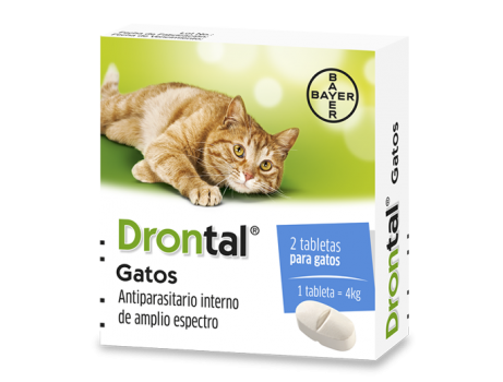 DRONTAL